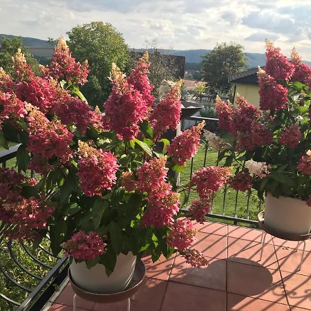 Hotel Haus Buena Vista Bad Kissingen Zewnętrze zdjęcie