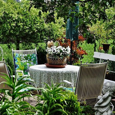 Hotel Haus Buena Vista Bad Kissingen Zewnętrze zdjęcie