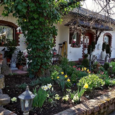 Hotel Haus Buena Vista Bad Kissingen Zewnętrze zdjęcie