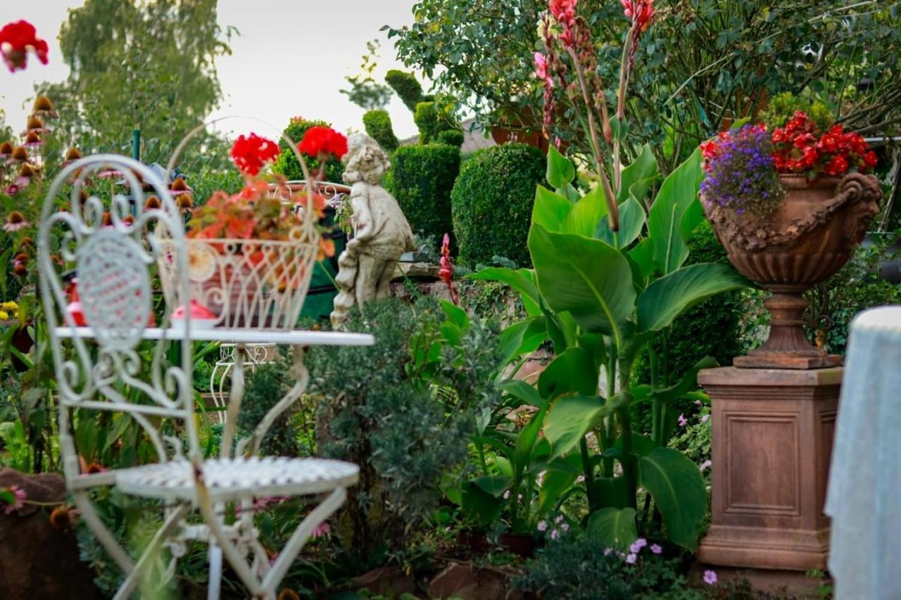 Hotel Haus Buena Vista Bad Kissingen Zewnętrze zdjęcie