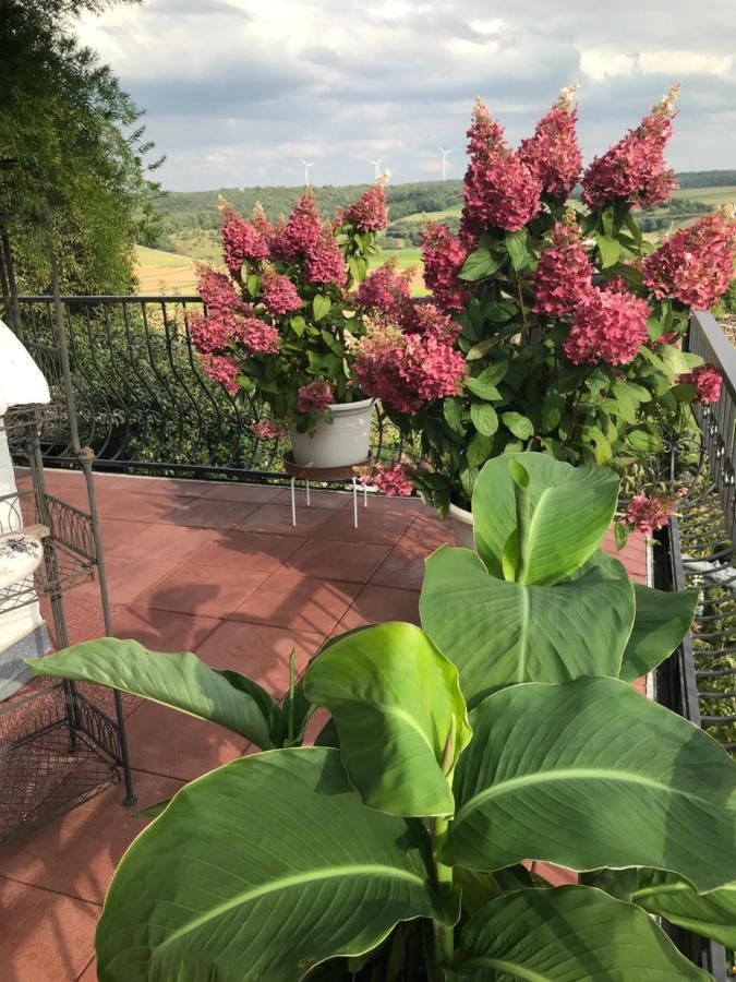 Hotel Haus Buena Vista Bad Kissingen Zewnętrze zdjęcie