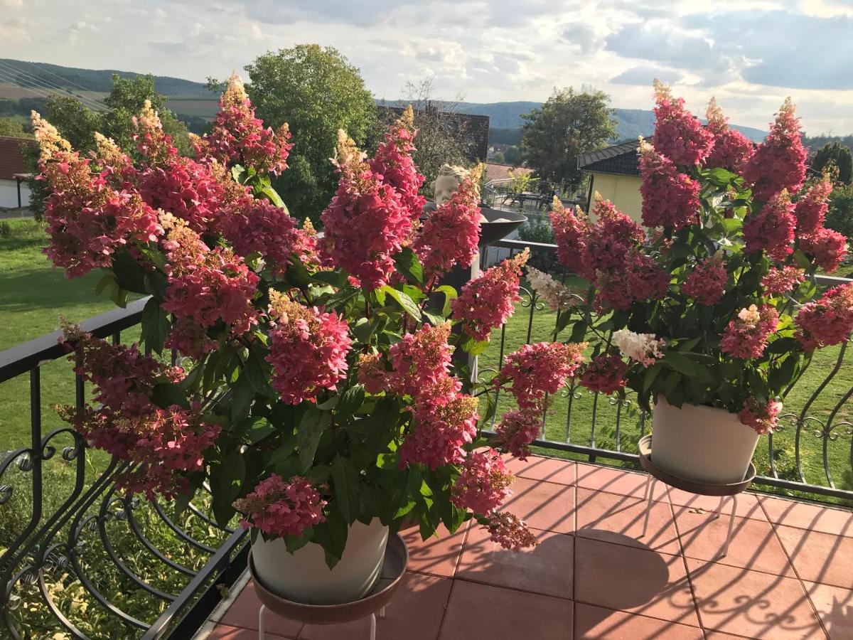 Hotel Haus Buena Vista Bad Kissingen Zewnętrze zdjęcie
