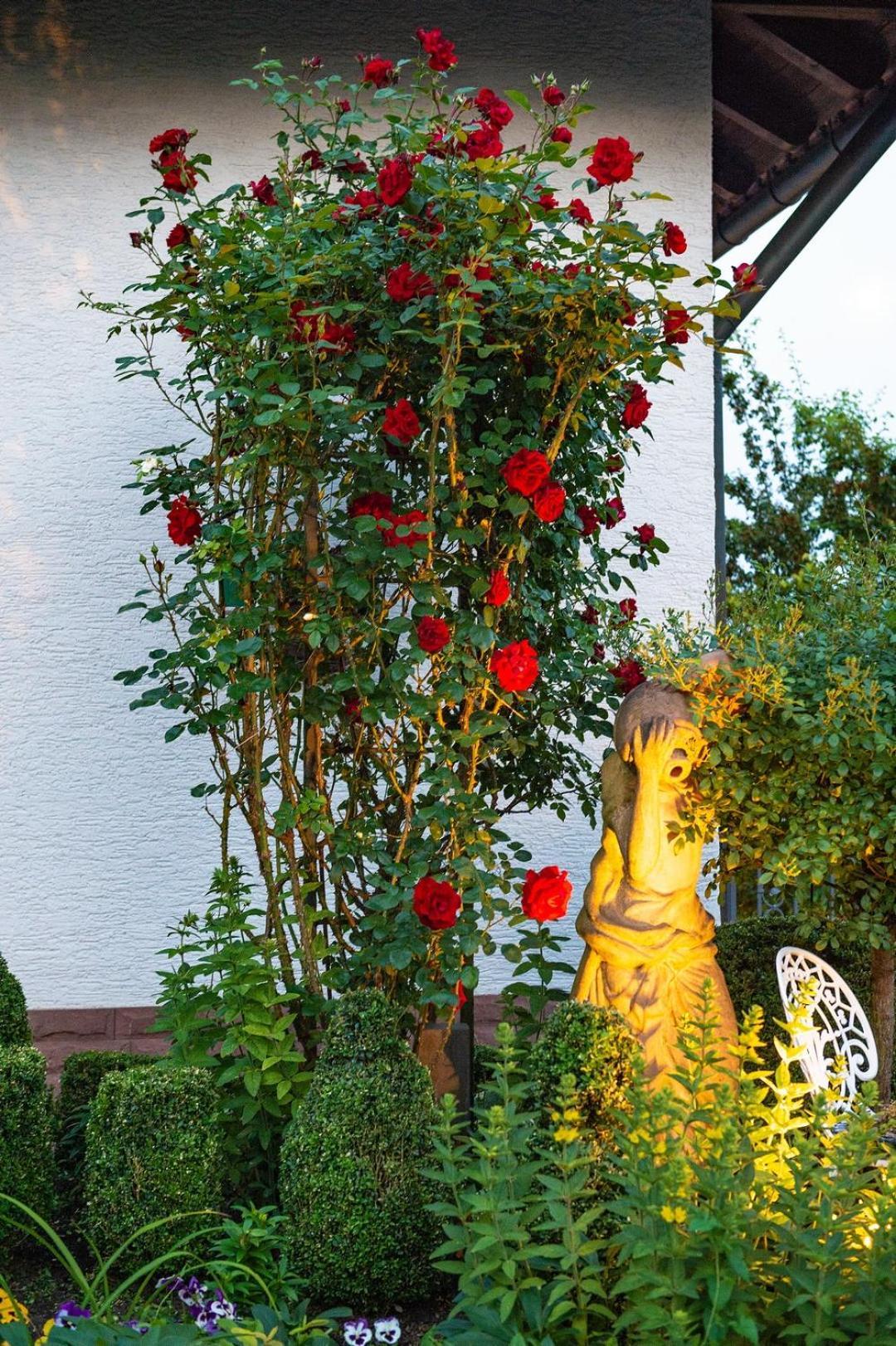Hotel Haus Buena Vista Bad Kissingen Zewnętrze zdjęcie