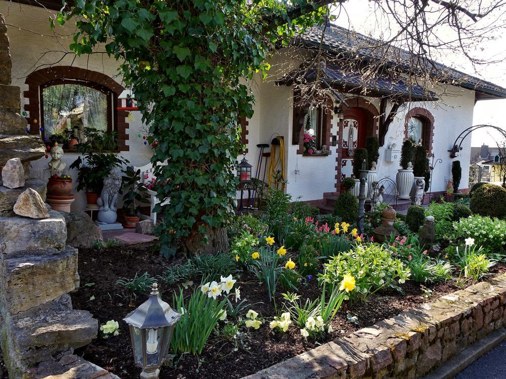 Hotel Haus Buena Vista Bad Kissingen Zewnętrze zdjęcie